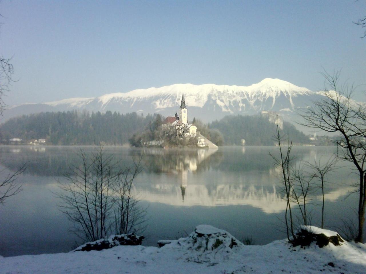 Holiday Home Katricnek Bohinjska Bela Exterior photo